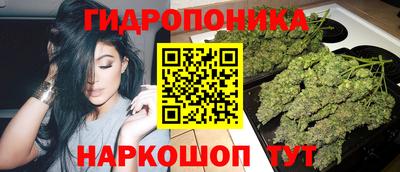 стаф Малгобек