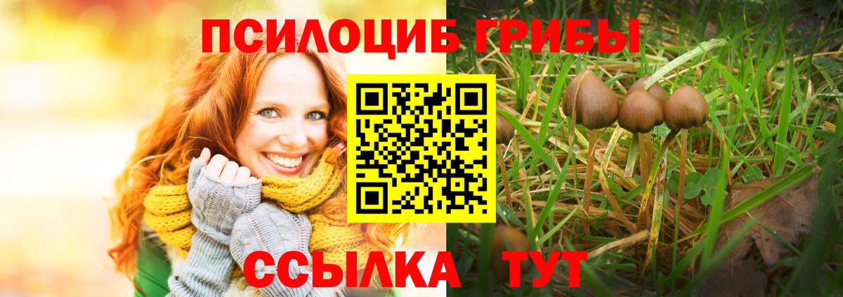 Галлюциногенные грибы GOLDEN TEACHER  Псилоцибиновые грибы Psilocybe  Вход с VPN  Шелехов 